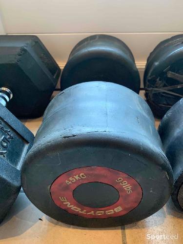 Haltère 45kg musculation 