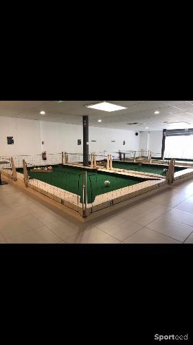 snookball billard geant