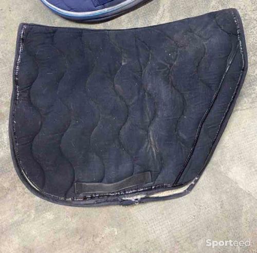Tapis