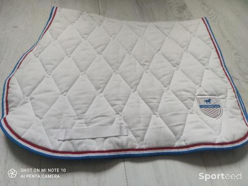 Tapis équitation