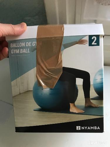 Ballon de gymnastique 