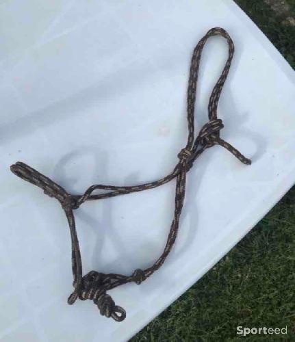 Licol éthologique/corde cheval 
