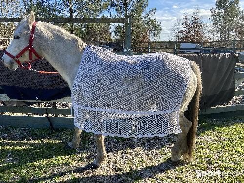 Equitation - Couverture séchante  - photo 3