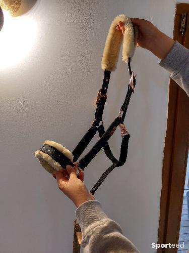 Licol violet à paillettes plus longe offert 