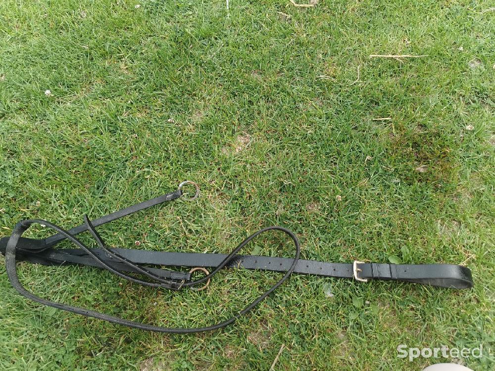 Equitation - Martingale  - photo 4