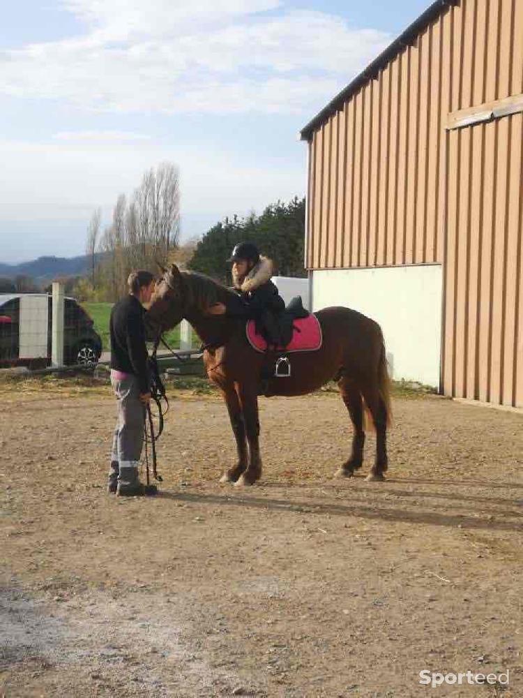 Equitation - Ensemble rose  - photo 3