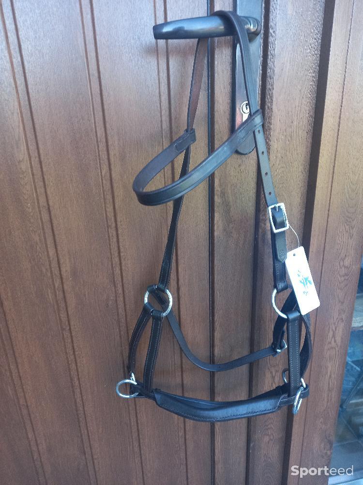 Equitation - Bridon sans mors - photo 1