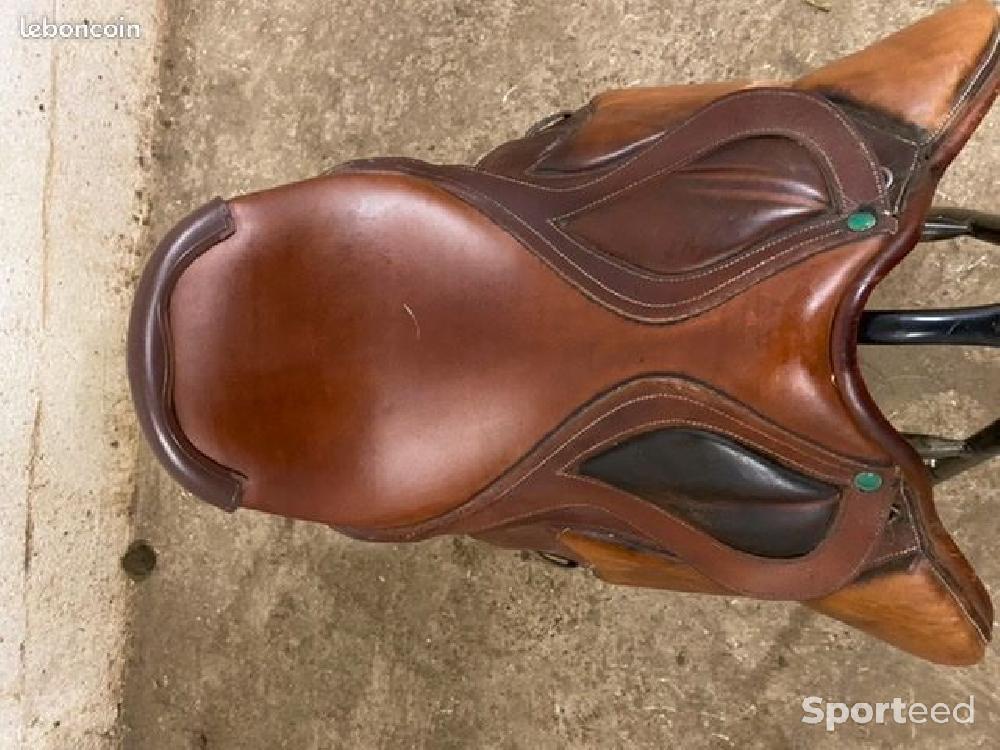 Equitation - selle - photo 4