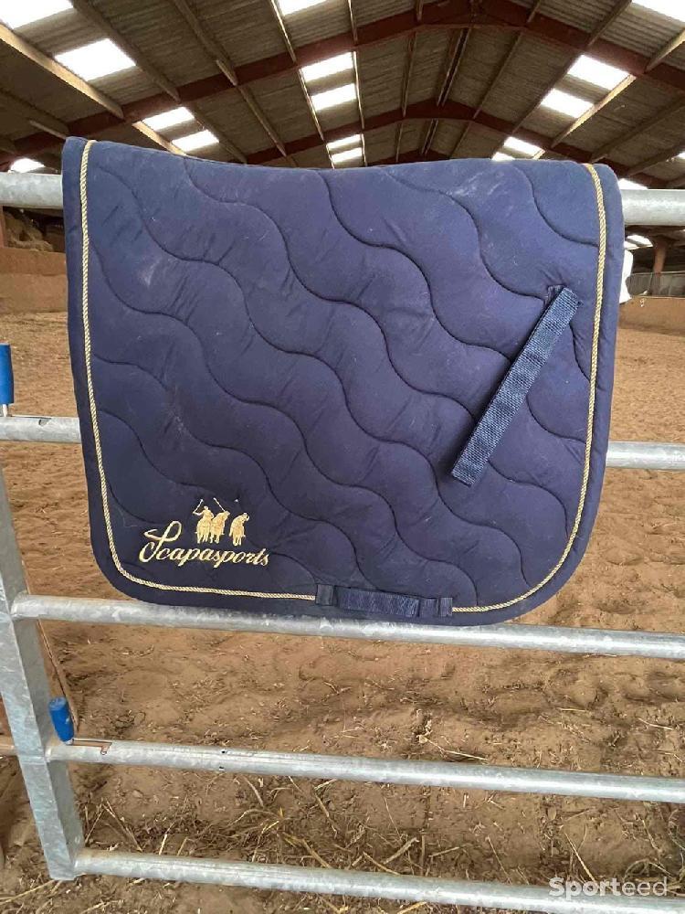 Equitation - Tapis  - photo 1