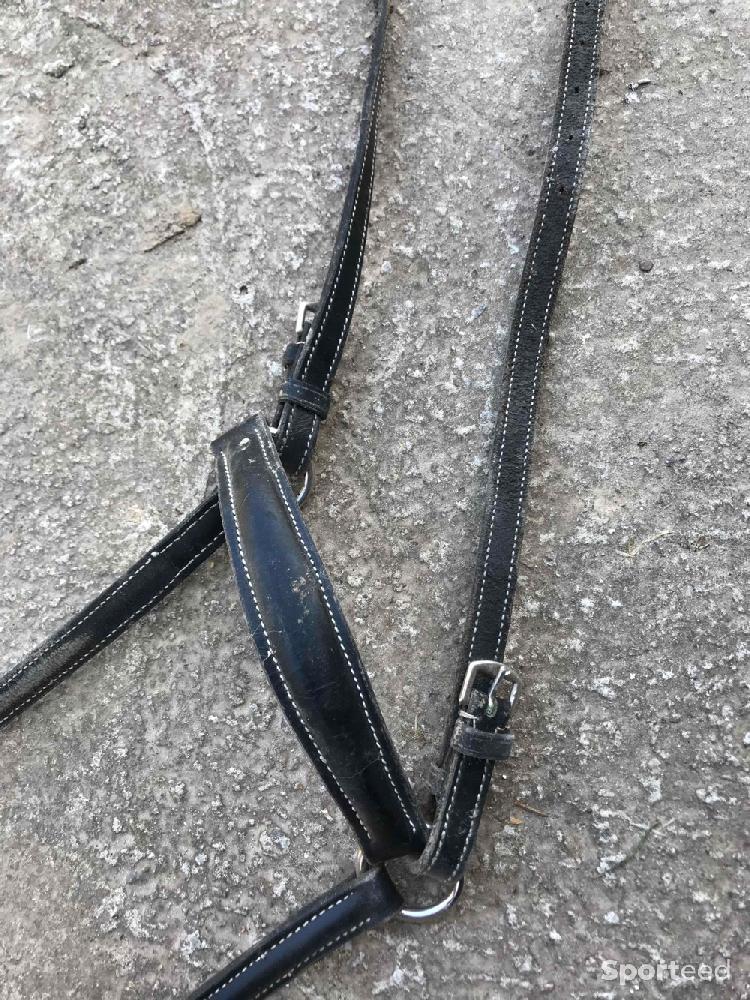 Equitation - Collier de chasse  - photo 4