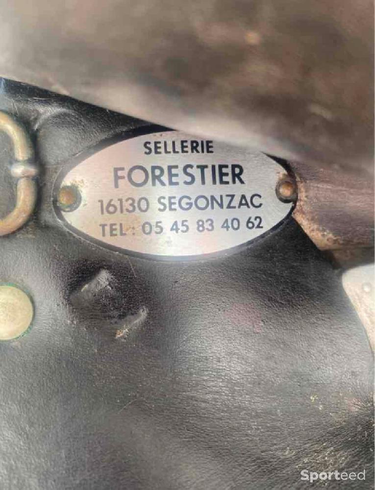 Equitation - Selle de dressage forestier  - photo 1