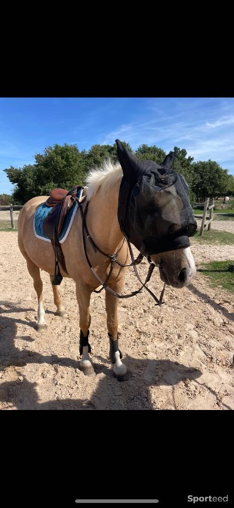 Equitation - tapis coupé pénélope leprevost bleu canard  - photo 1