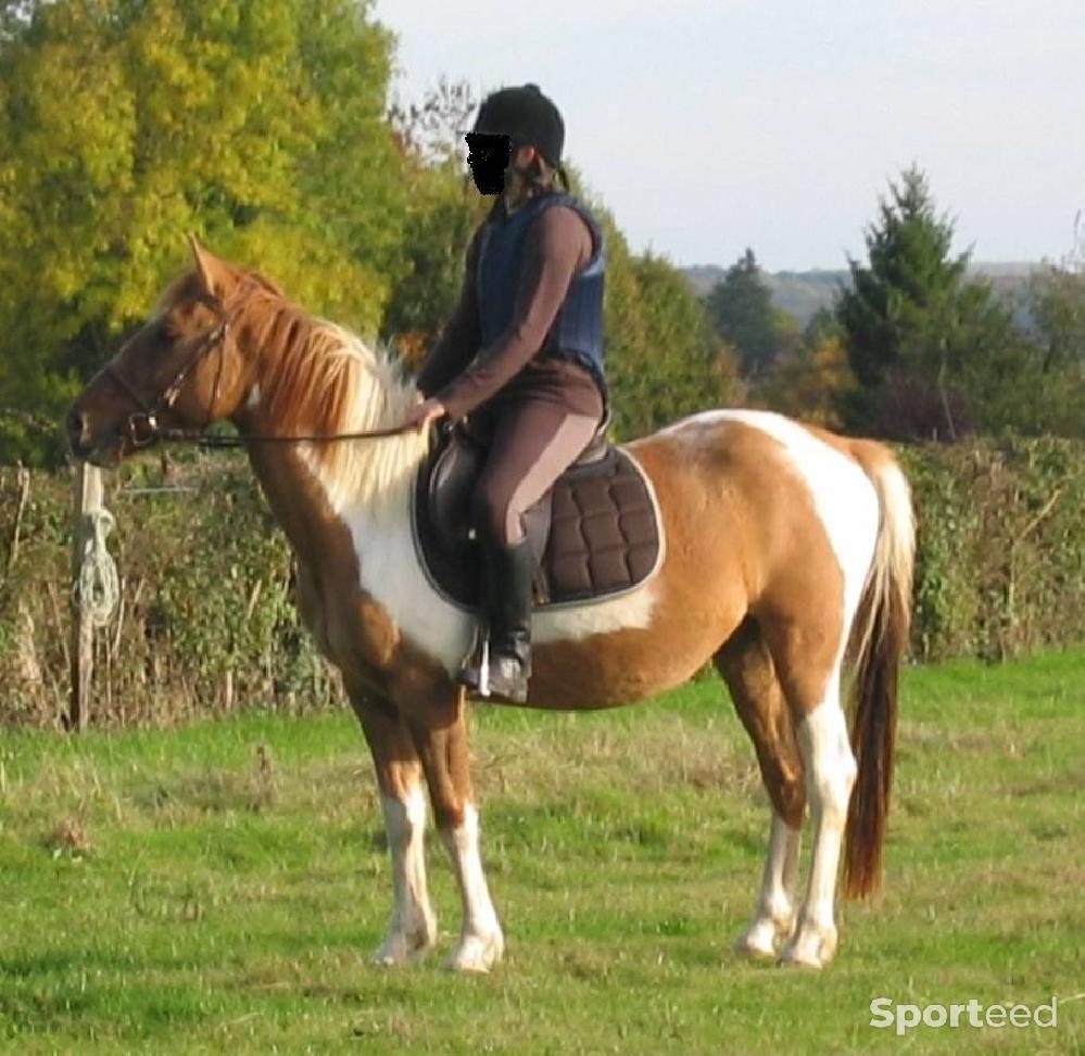 Equitation - Gilet de cross taille M RS2000 - photo 2