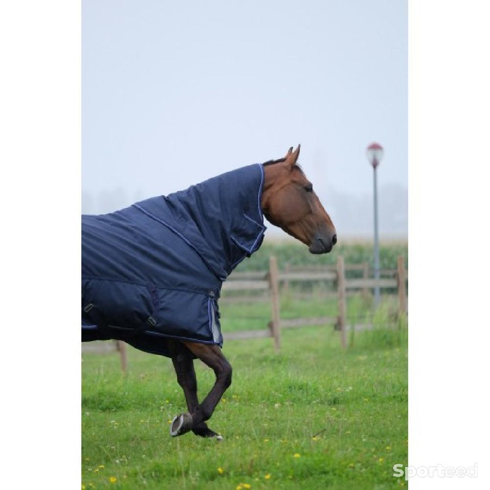 Equitation - couverture paddock - photo 1