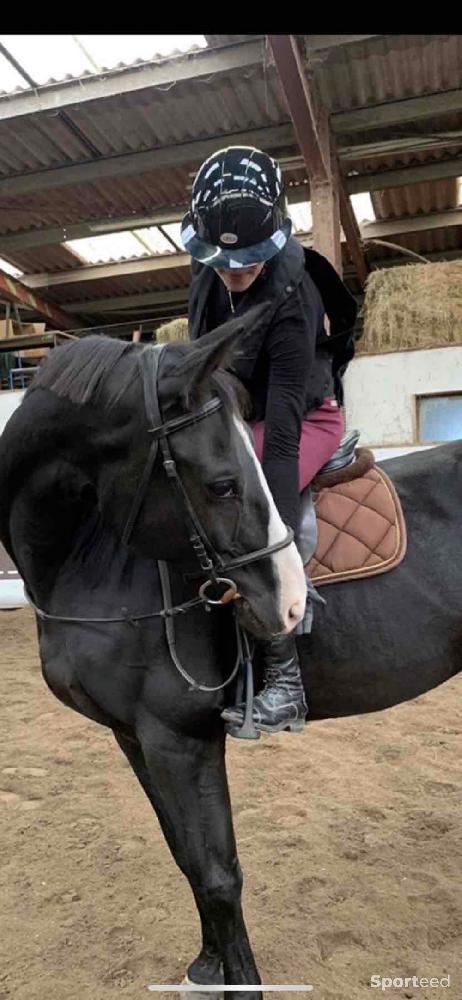 Equitation - Gpa little lady full glossy  - photo 4