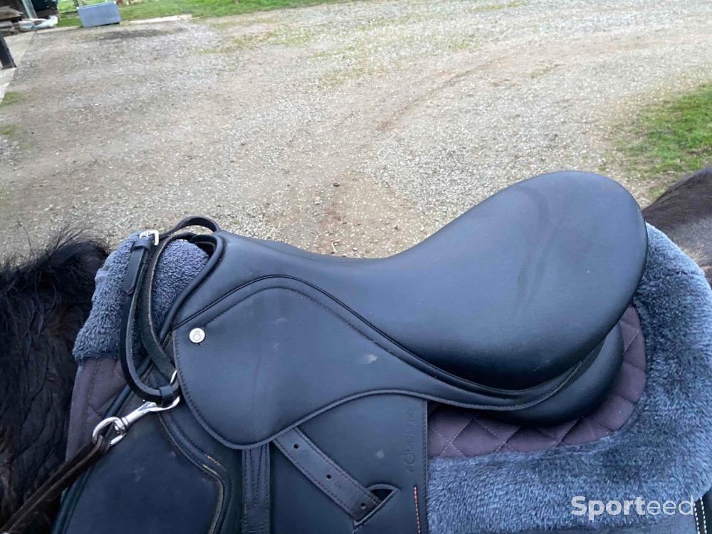 Equitation - Selle 16.5 - photo 1