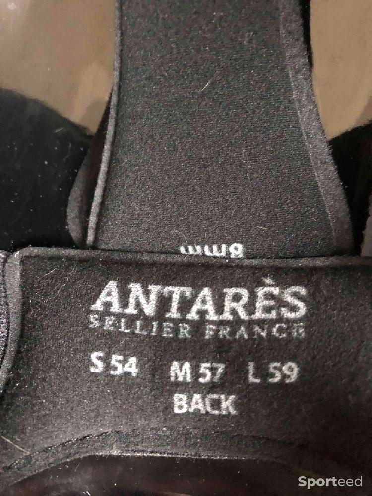 Equitation - Casque Antares Eclipse Premium bleu  - photo 5