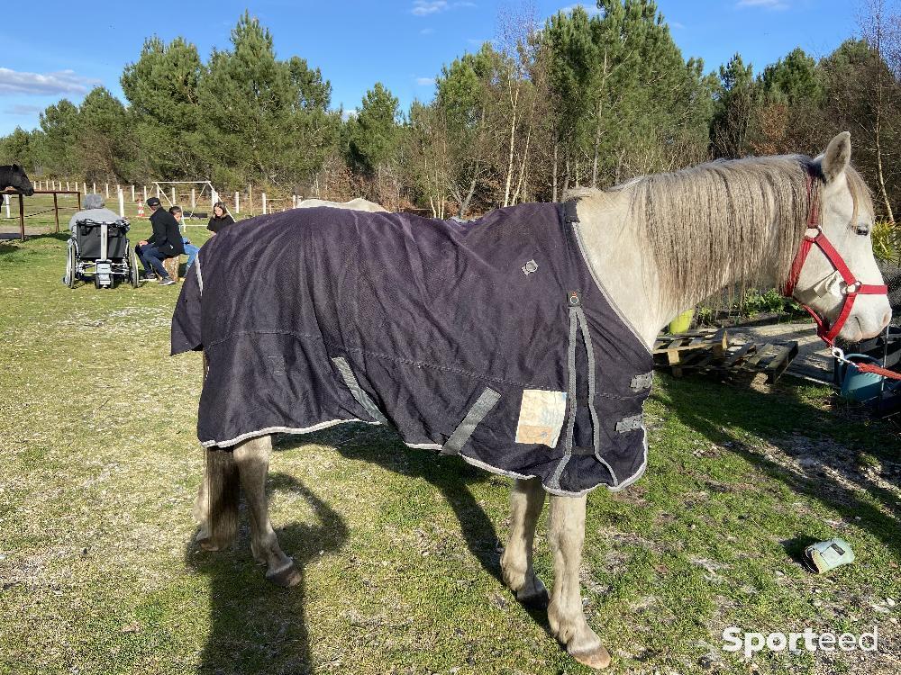 Equitation - Couverture extérieure  - photo 1