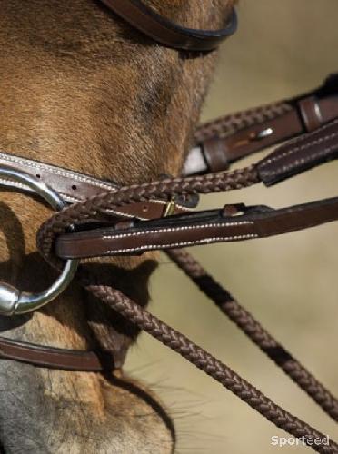 Equitation - Rênes allemandes - photo 3