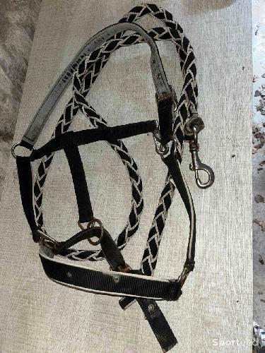 Licol avec longe 