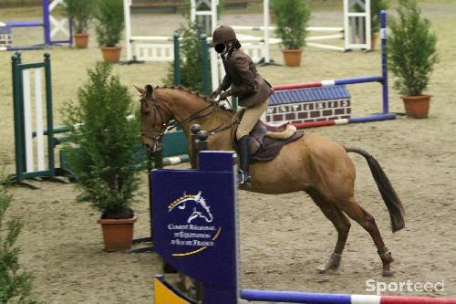 Equitation - Veste et bombe  - photo 3