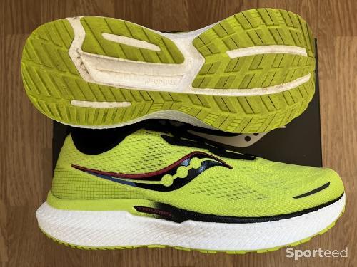 Saucony TRIUMPH 19