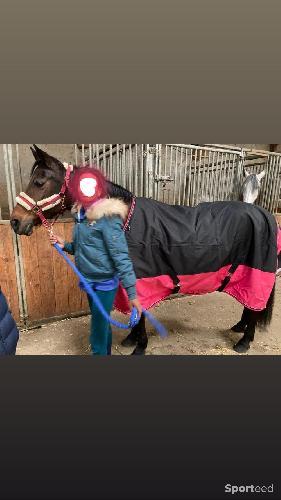 Equitation - Couverture imperméable noire et rose framboise  - photo 4