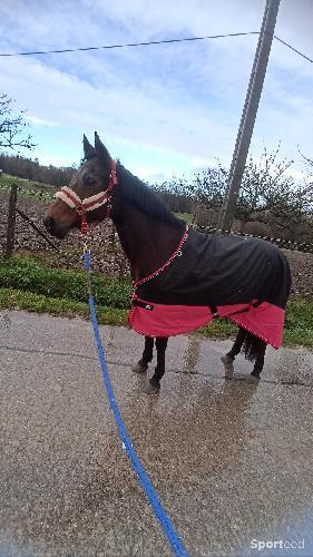 Equitation - Couverture imperméable noire et rose framboise  - photo 4