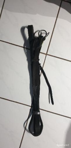 Martingale à anneaux 