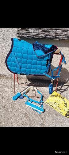 Ensemble bleu canard