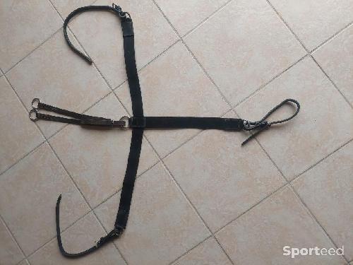 Equitation - Collier de chasse poney - photo 5