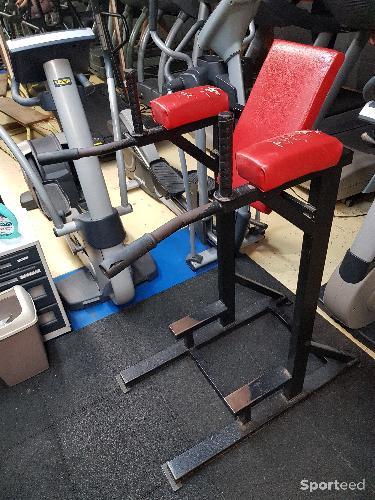 Chaise romaine abdominale station de dips pro