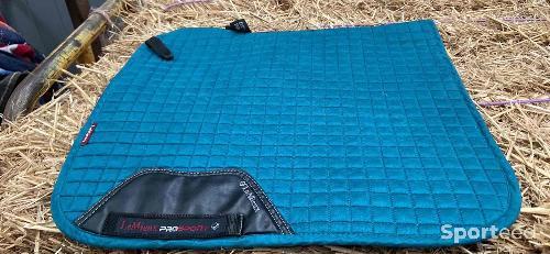 Tapis dressage