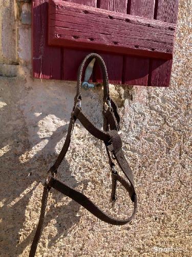 Equitation - Licol équitation  - photo 4