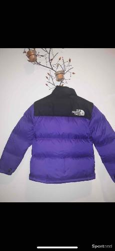 Veste the north face
