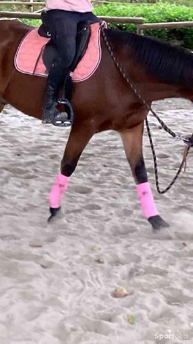 Equitation - Bandes polo rose jumptec  - photo 6