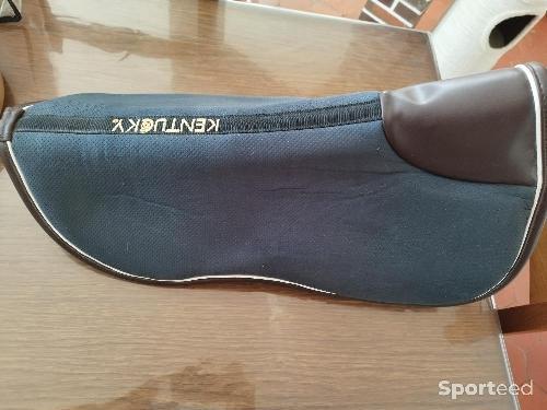 Equitation - amortisseur Kentucky Half Pad Absorb - photo 6