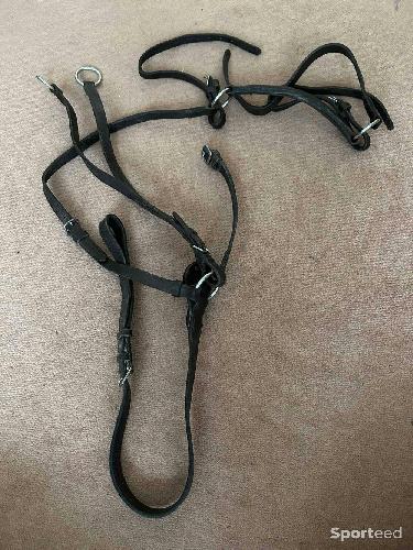 Collier de chasse+martingale