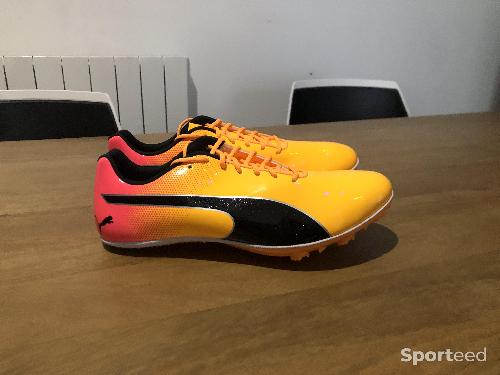 Athlétisme - Chaussures pointes PUMA EvoSpeed Distance 11 - photo 5