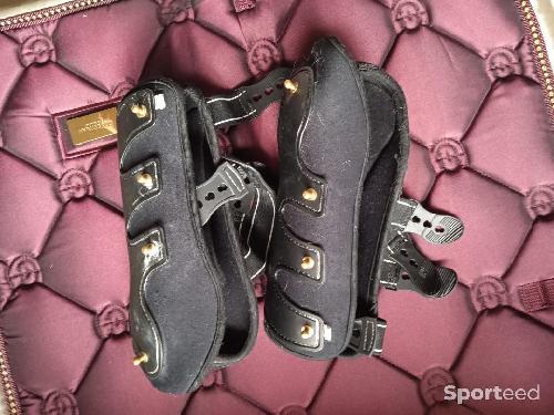 Guêtres antérieurs Félix Bühler 