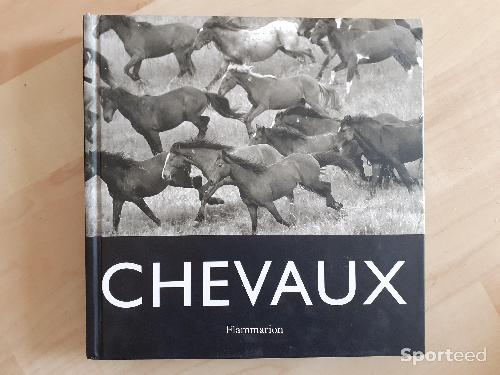 Equitation - Livre Chevaux - photo 6