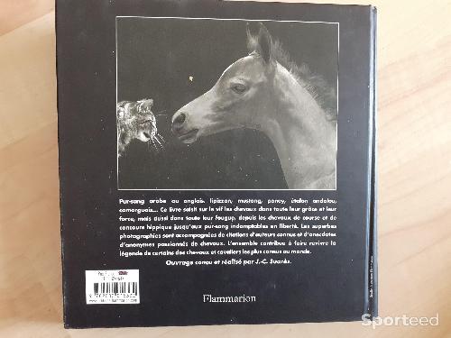 Equitation - Livre Chevaux - photo 6