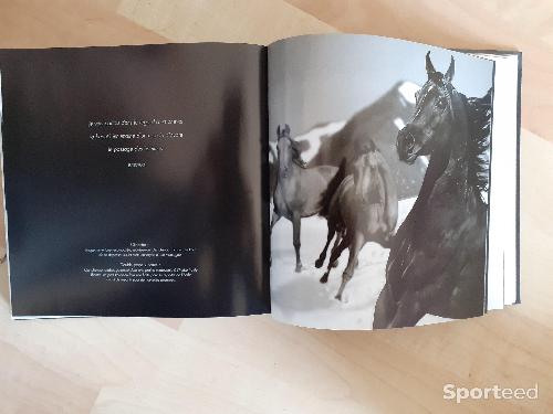 Equitation - Livre Chevaux - photo 6