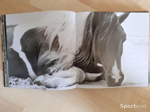 Equitation - Livre Chevaux - photo 6