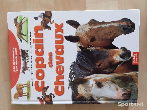 Equitation - Livre copains des chevaux  - photo 6