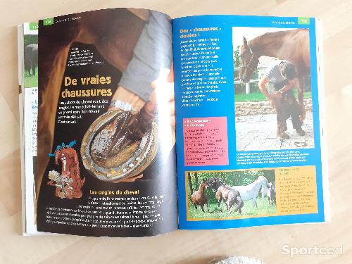 Equitation - Livre copains des chevaux  - photo 6