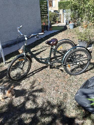 Tricycle adulte 