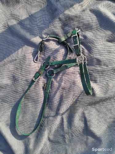 Licol Deluxe vert sapin zilco