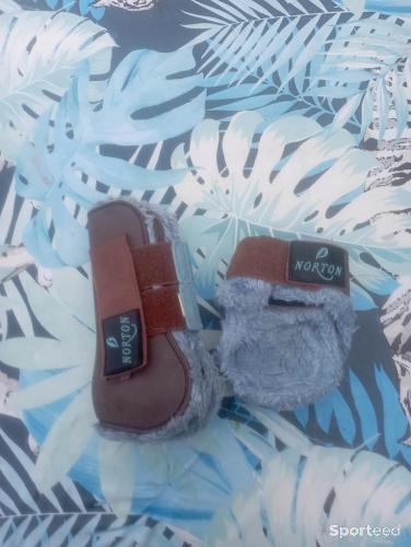 Guêtres Poney Norton