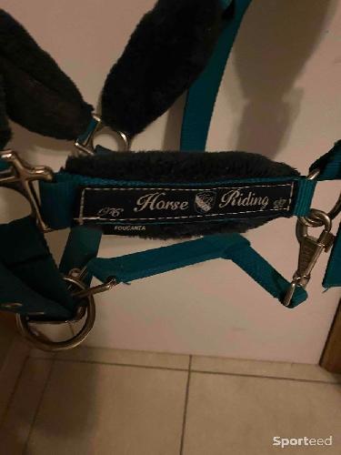 Equitation - Licol en moumoute bleu turquoise  - photo 5